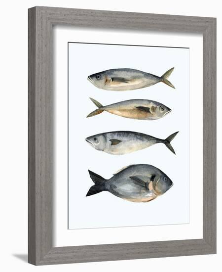 Four Fish I-Emma Scarvey-Framed Art Print