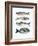 Four Fish I-Emma Scarvey-Framed Art Print