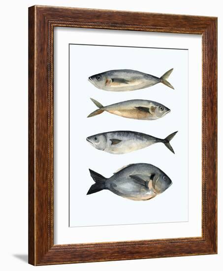 Four Fish I-Emma Scarvey-Framed Art Print