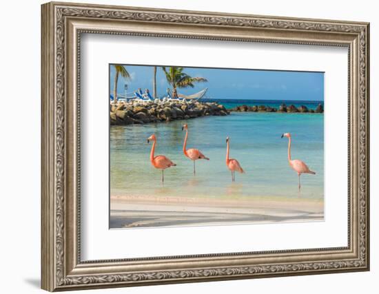 Four Flamingos on the Beach-PhotoSerg-Framed Photographic Print