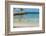 Four Flamingos on the Beach-PhotoSerg-Framed Photographic Print