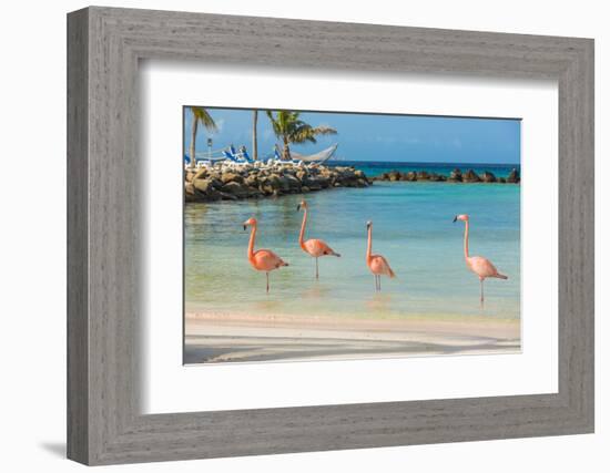 Four Flamingos on the Beach-PhotoSerg-Framed Photographic Print