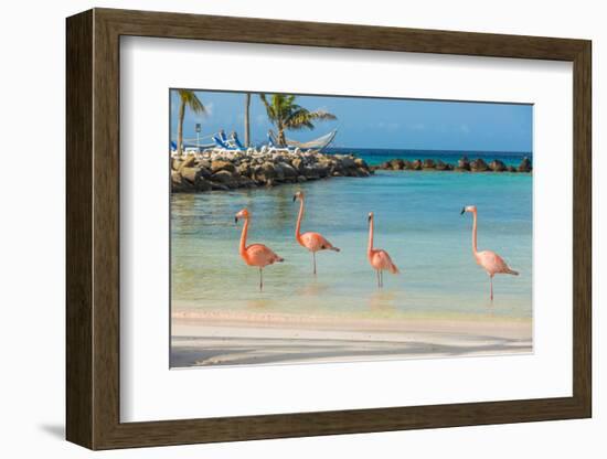 Four Flamingos on the Beach-PhotoSerg-Framed Photographic Print