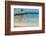 Four Flamingos on the Beach-PhotoSerg-Framed Photographic Print