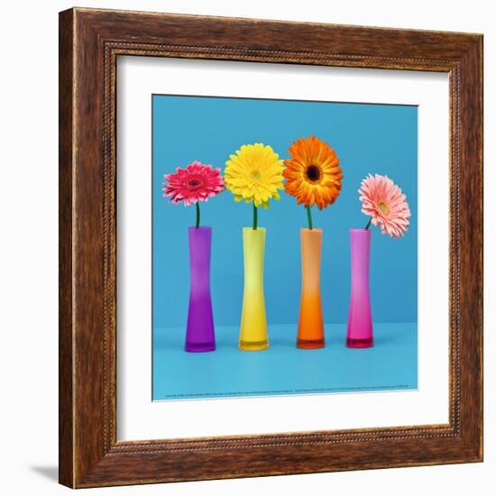 Four Flowers and Blue Background-Camille Soulayrol-Framed Art Print