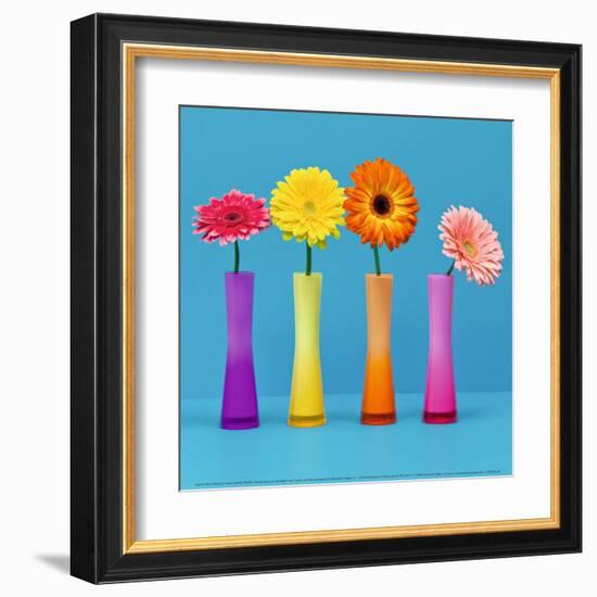 Four Flowers and Blue Background-Camille Soulayrol-Framed Art Print