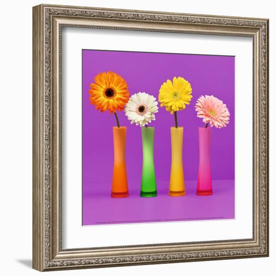 Four Flowers and Pink Background-Camille Soulayrol-Framed Art Print