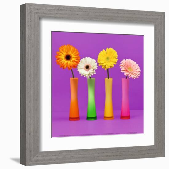 Four Flowers and Pink Background-Camille Soulayrol-Framed Art Print