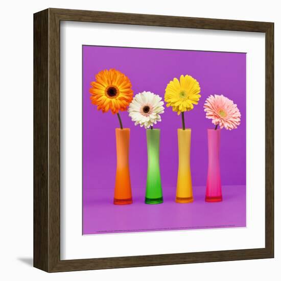 Four Flowers and Pink Background-Camille Soulayrol-Framed Art Print