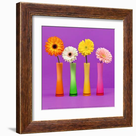 Four Flowers and Pink Background-Camille Soulayrol-Framed Art Print