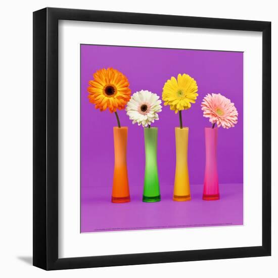 Four Flowers and Pink Background-Camille Soulayrol-Framed Art Print