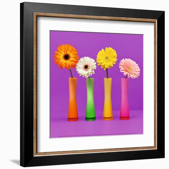 Four Flowers and Pink Background-Camille Soulayrol-Framed Art Print