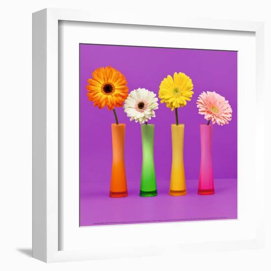 Four Flowers and Pink Background-Camille Soulayrol-Framed Art Print