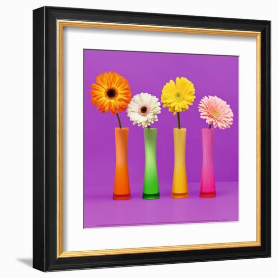 Four Flowers and Pink Background-Camille Soulayrol-Framed Art Print
