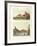 Four-Footed Animals of Australia-null-Framed Giclee Print