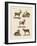 Four-Footed Animals-null-Framed Giclee Print