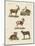 Four-Footed Animals-null-Mounted Giclee Print
