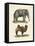 Four-Footed Animals-null-Framed Premier Image Canvas