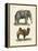 Four-Footed Animals-null-Framed Premier Image Canvas