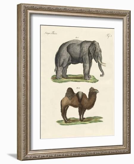 Four-Footed Animals-null-Framed Giclee Print