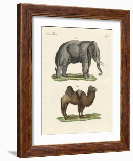 Four-Footed Animals-null-Framed Giclee Print