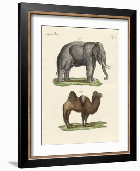 Four-Footed Animals-null-Framed Giclee Print