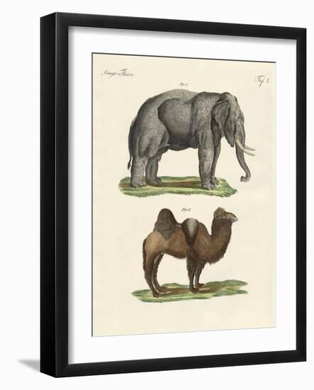 Four-Footed Animals-null-Framed Giclee Print