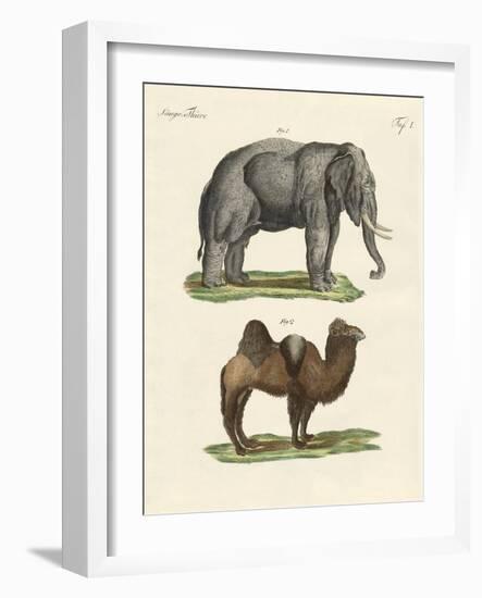 Four-Footed Animals-null-Framed Giclee Print