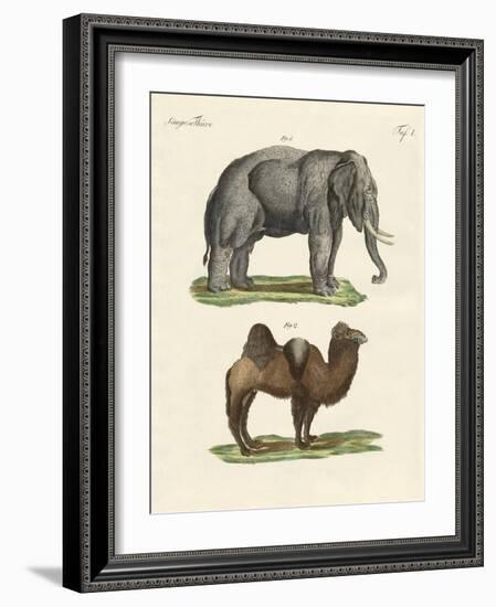 Four-Footed Animals-null-Framed Giclee Print