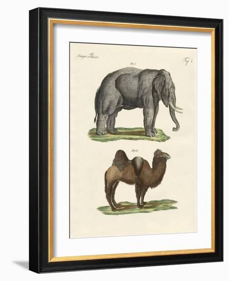 Four-Footed Animals-null-Framed Giclee Print