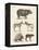 Four-Footed Animals-null-Framed Premier Image Canvas