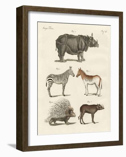 Four-Footed Animals-null-Framed Giclee Print