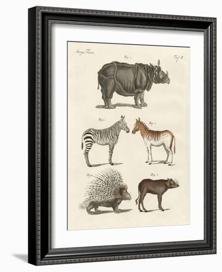 Four-Footed Animals-null-Framed Giclee Print