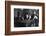 Four Friends Playing Billiards-Marisa Rastellini-Framed Photographic Print