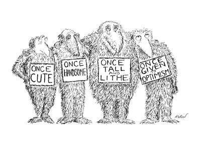 Four Furry Beasts With Signs Once Cute Once Handsome Once Tall And Lith New Yorker Cartoon Premium Giclee Print By Edward Koren Art Com