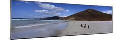 Photographic Print