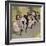 Four Girls Dancing Cancan-Bettmann-Framed Giclee Print