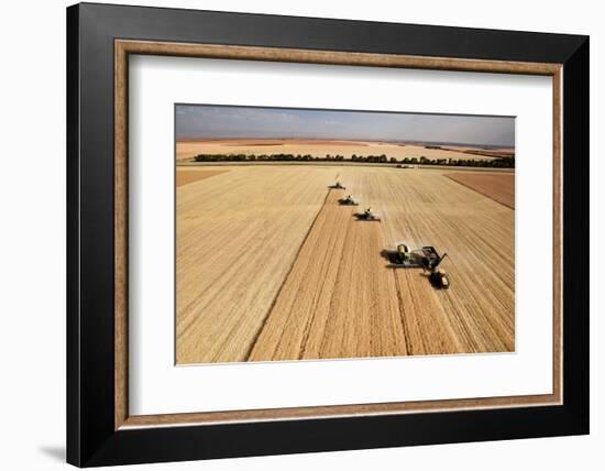 Four Harvesters Combing on a Prairie Landscape in Formation-Tyler Olson-Framed Photographic Print