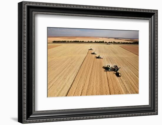 Four Harvesters Combing on a Prairie Landscape in Formation-Tyler Olson-Framed Photographic Print