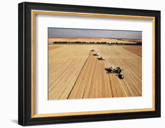 Four Harvesters Combing on a Prairie Landscape in Formation-Tyler Olson-Framed Photographic Print