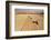 Four Harvesters Combing on a Prairie Landscape in Formation-Tyler Olson-Framed Photographic Print