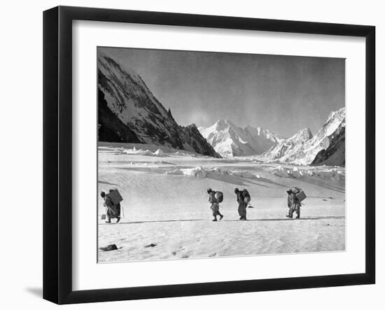 Four Hunza Porters on the Way Towards the Abruzzi Ridge for the Ascent of K2-null-Framed Photographic Print