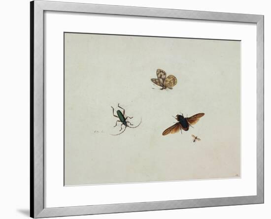 Four Insects, End of 17th C-Johannes Bronkhorst-Framed Giclee Print