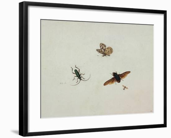 Four Insects, End of 17th C-Johannes Bronkhorst-Framed Giclee Print