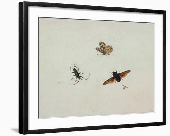 Four Insects, End of 17th C-Johannes Bronkhorst-Framed Giclee Print