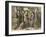 Four Japanese Women Amid Bamboo with a Young Child-null-Framed Photographic Print