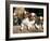 Four King Charles Cavalier Spaniel Puppies with Log-Adriano Bacchella-Framed Photographic Print