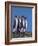 Four King Penguins in a Mating Ritual March, South Georgia Island-Charles Sleicher-Framed Photographic Print