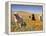 Four Labrador Retrievers Standing in a Field of Poppies at Antelope Valley in California, USA-Zandria Muench Beraldo-Framed Premier Image Canvas