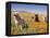 Four Labrador Retrievers Standing in a Field of Poppies at Antelope Valley in California, USA-Zandria Muench Beraldo-Framed Premier Image Canvas